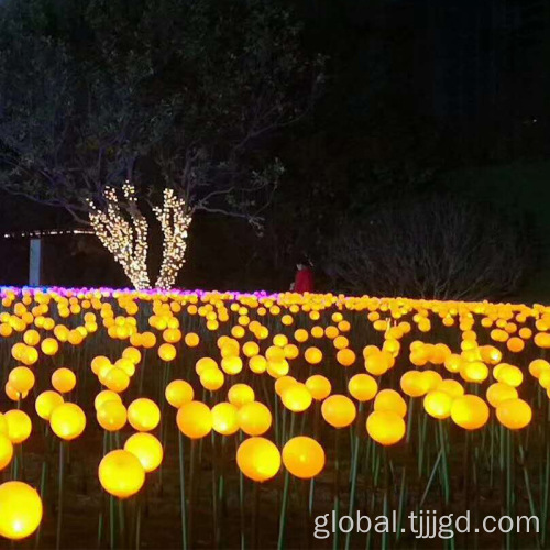 Solar Outdoor Ball Lights